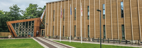 Projekta mazā bilde zem pogas